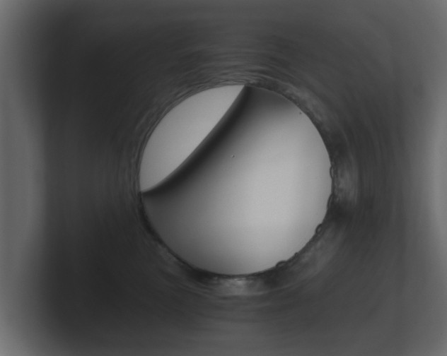 X0000101950473200807180706