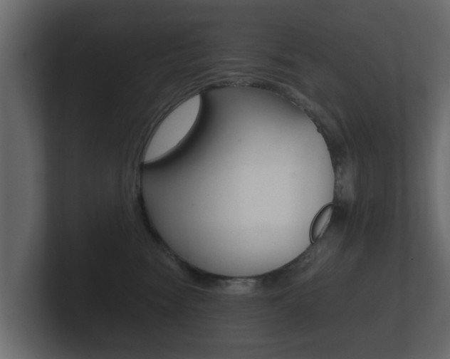 X0000101950474200807180706