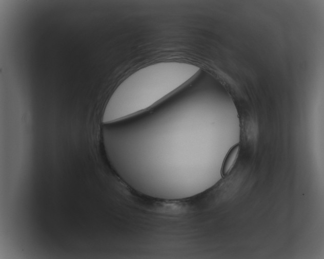 X0000101950475200807180706