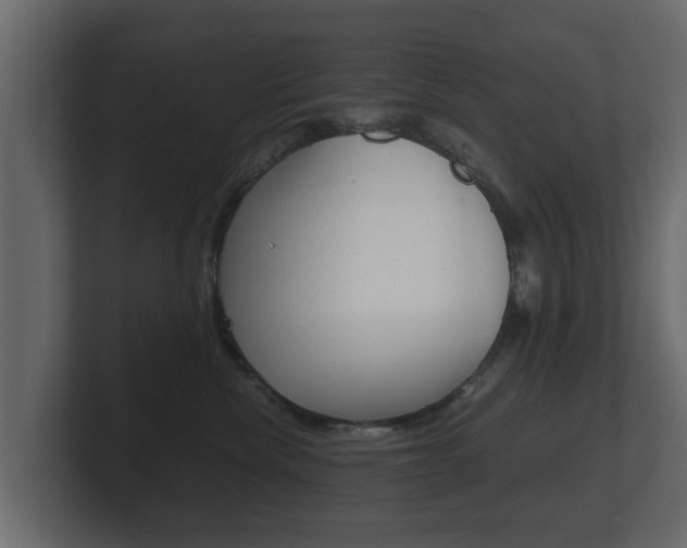 X0000101950476200807180706