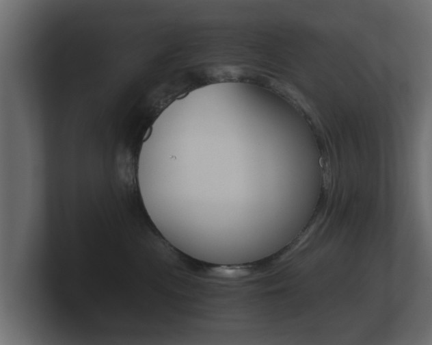 X0000101950477200807180706