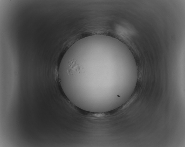 X0000101950478200807180706