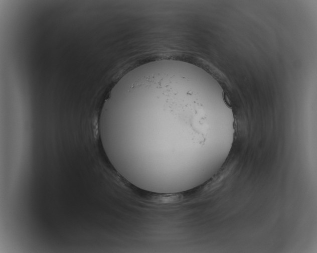 X0000101950479200807180706