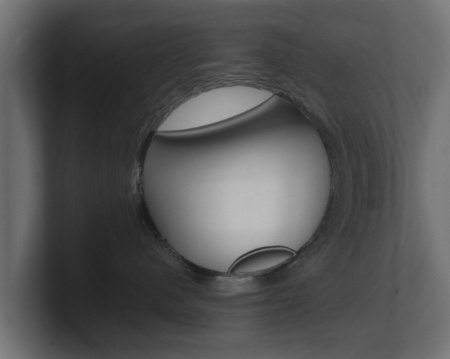 X0000101950480200807180706