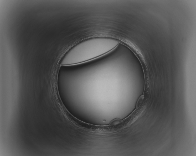 X0000101950481200807180706