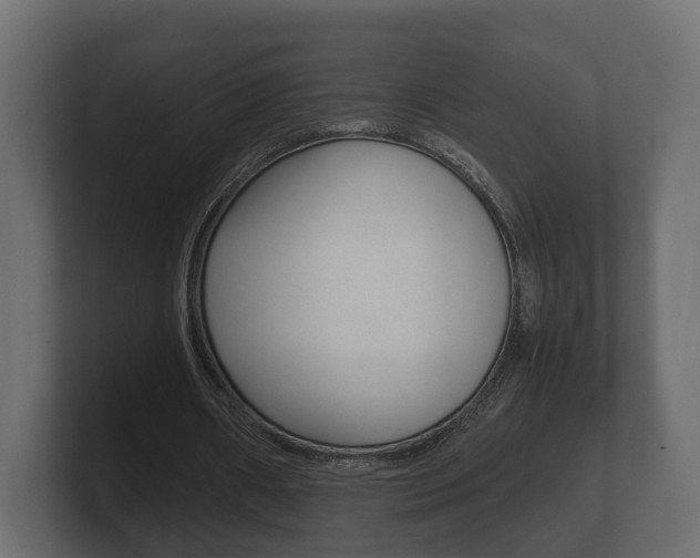 X0000101950482200807180706