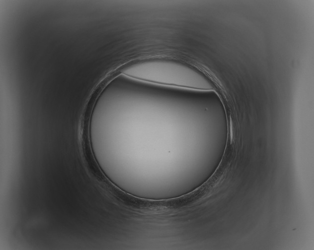 X0000101950483200807180706