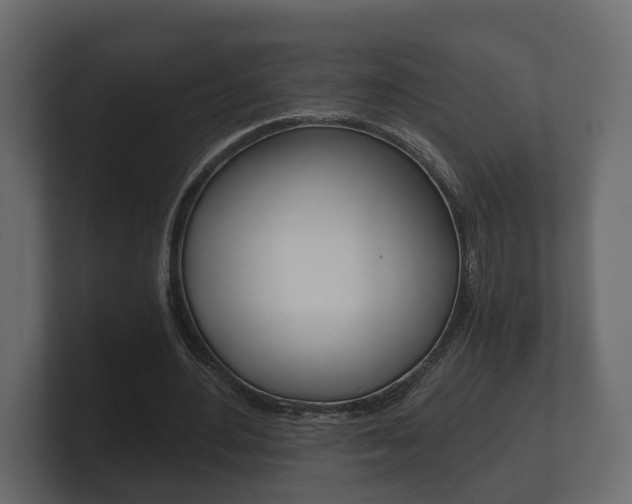 X0000101950484200807180706