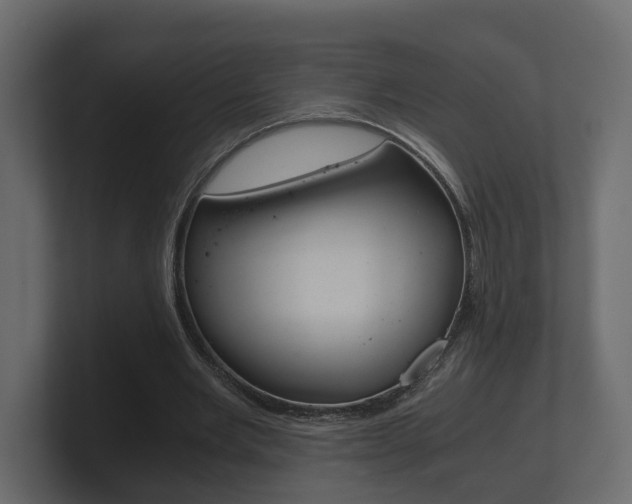 X0000101950485200807180706