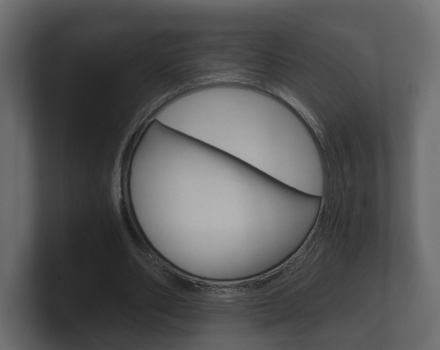 X0000101950486200807180705