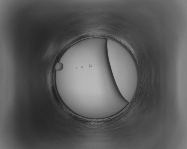 X0000101950487200807180705