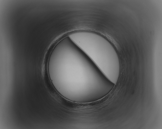 X0000101950488200807180705