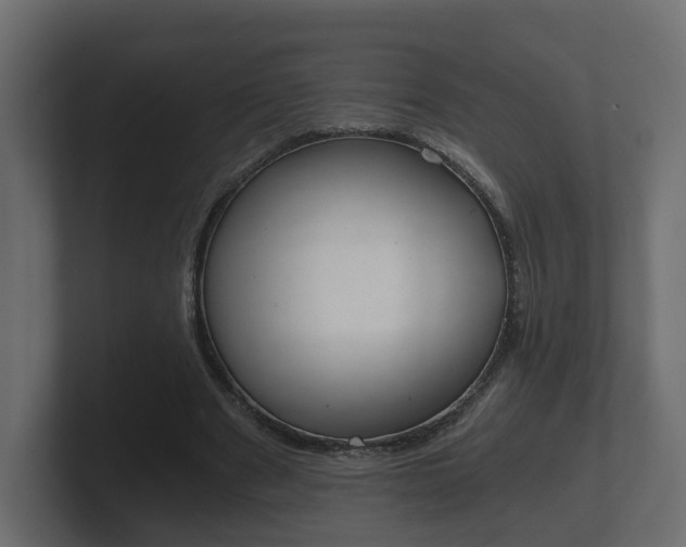 X0000101950489200807180705