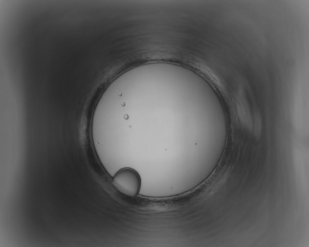 X0000101950490200807180705