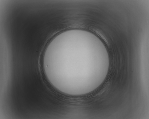 X0000101950491200807180705