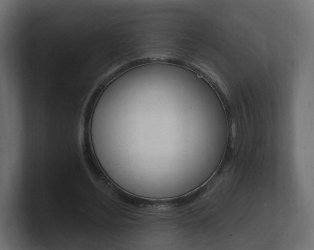 X0000101950492200807180705