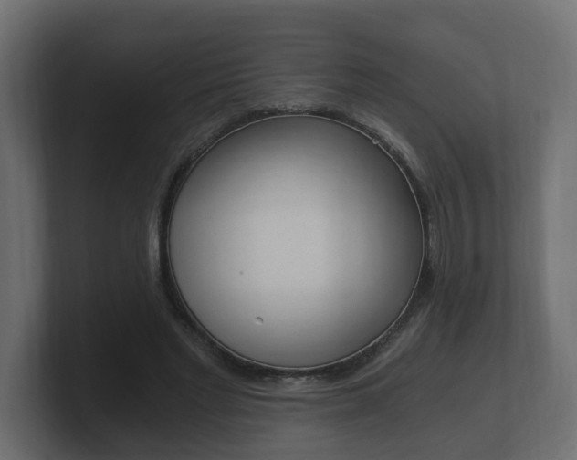 X0000101950493200807180705