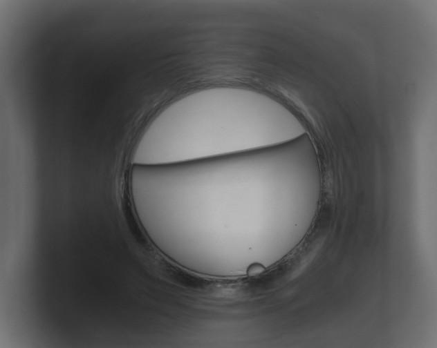 X0000101950495200807180705