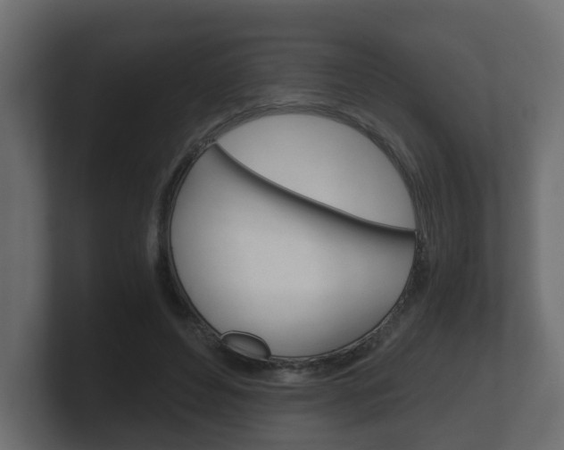 X0000101950496200807180705