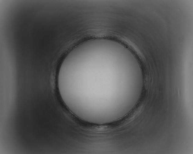 X0000101950497200807180705