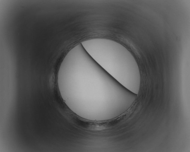 X0000101950498200807180705