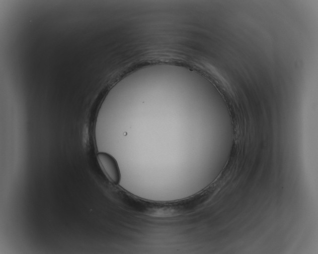 X0000101950500200807180705