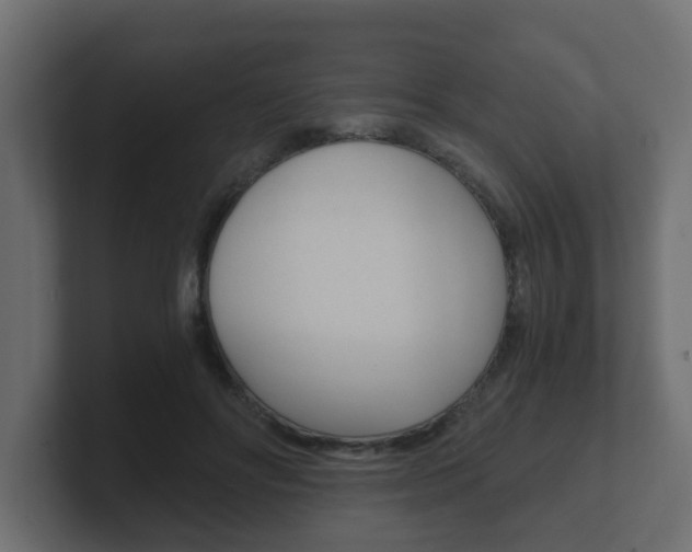 X0000101950502200807180705