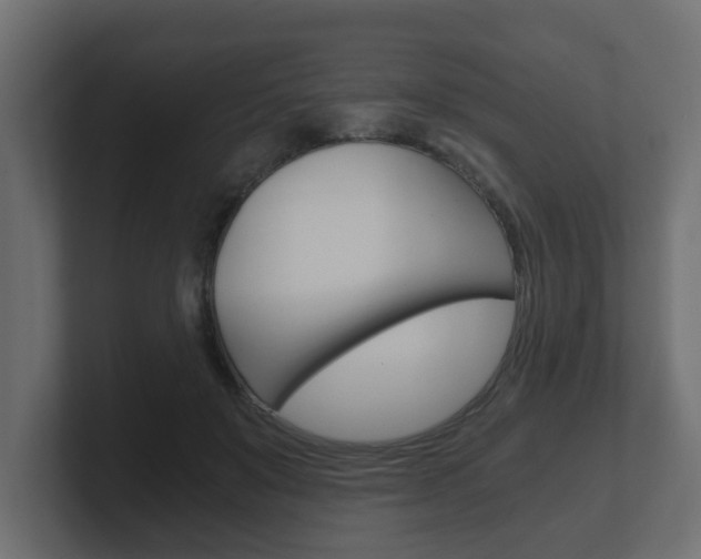 X0000101950503200807180705