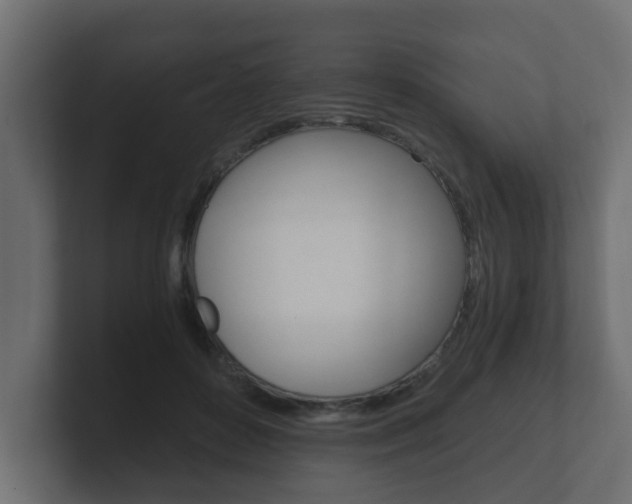 X0000101950504200807180705