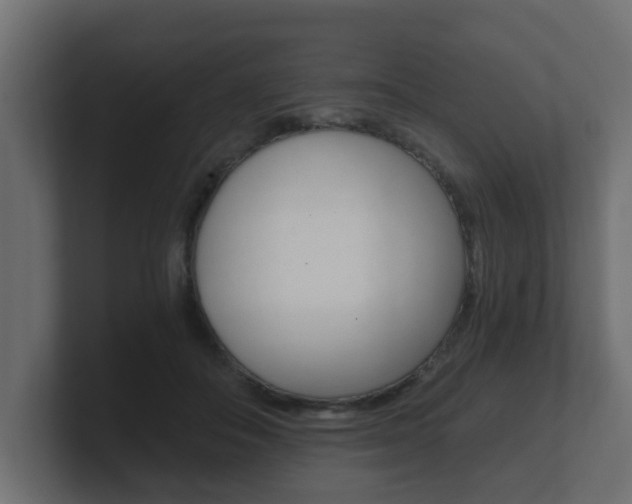 X0000101950506200807180705