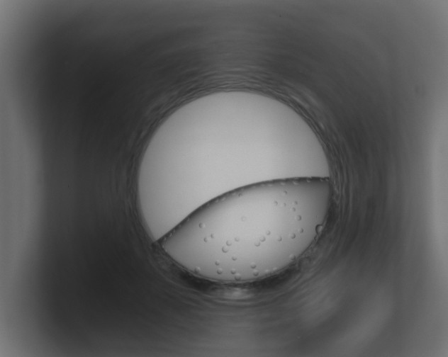 X0000101950507200807180705