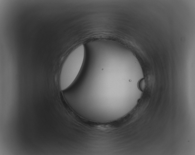 X0000101950508200807180705