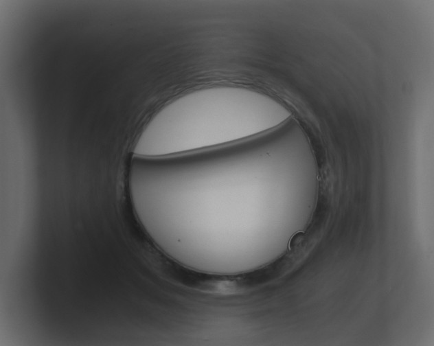 X0000101950509200807180705