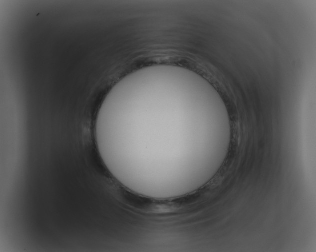 X0000101950510200807180705