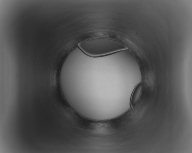 X0000101950512200807180705