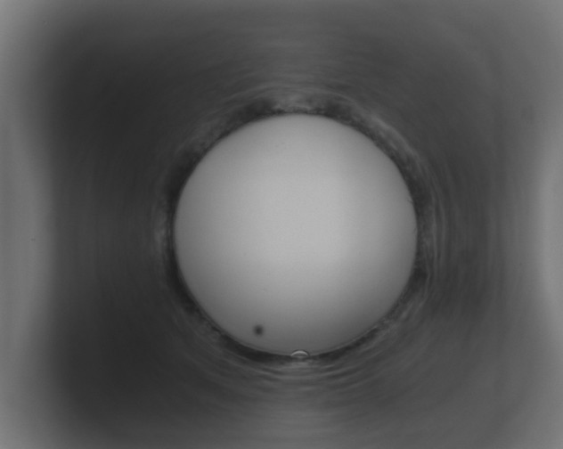 X0000101950513200807180705