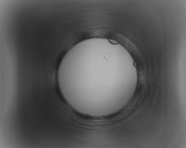 X0000101950514200807180705