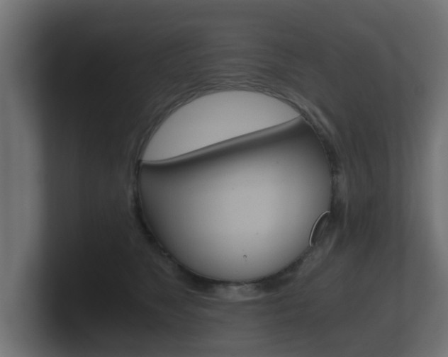 X0000101950517200807180705