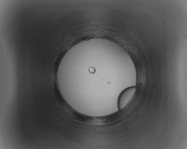 X0000101950518200807180705