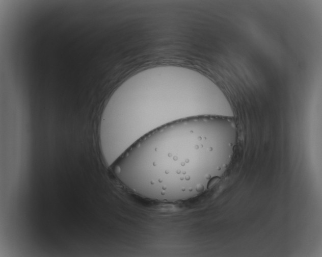 X0000101950519200807180705