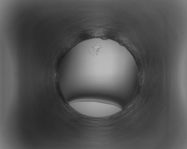 X0000101950521200807180705