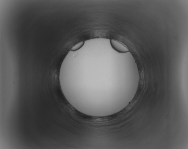 X0000101950522200807180705