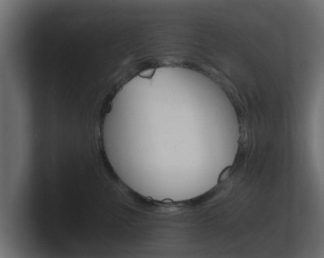 X0000101950523200807180705