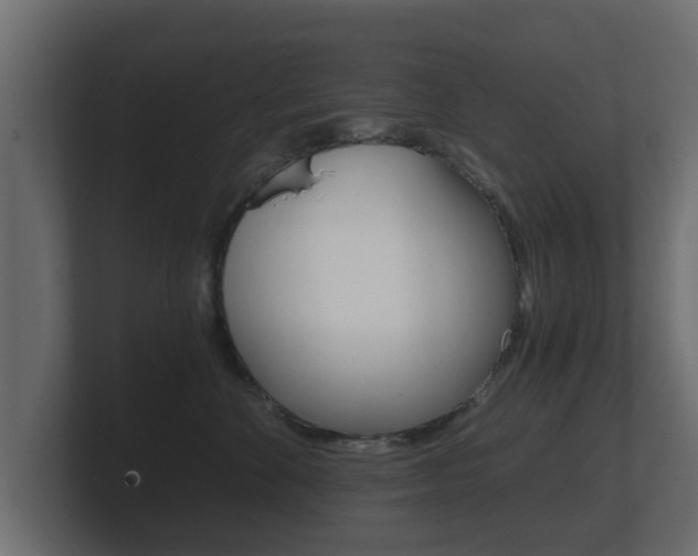 X0000101950524200807180705