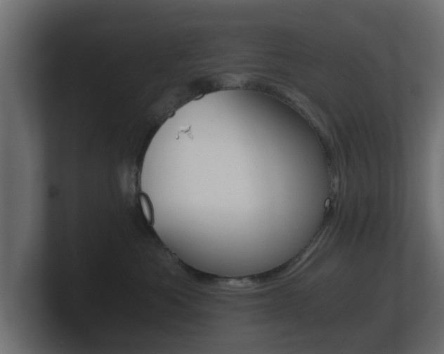 X0000101950525200807180705