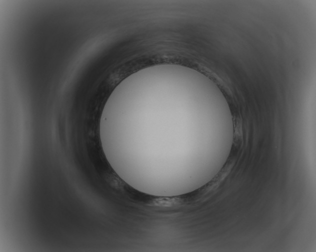 X0000101950526200807180705