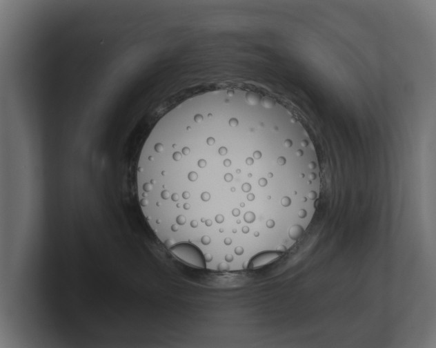 X0000101950527200807180705