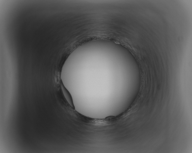 X0000101950528200807180705