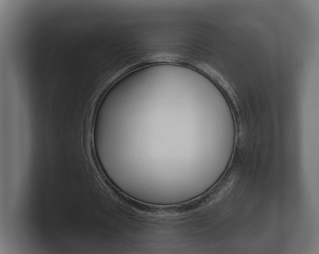 X0000101950529200807180704