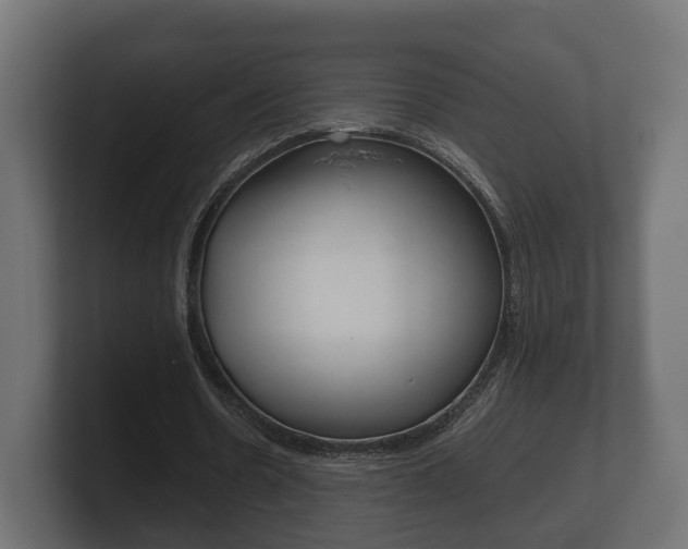 X0000101950530200807180704